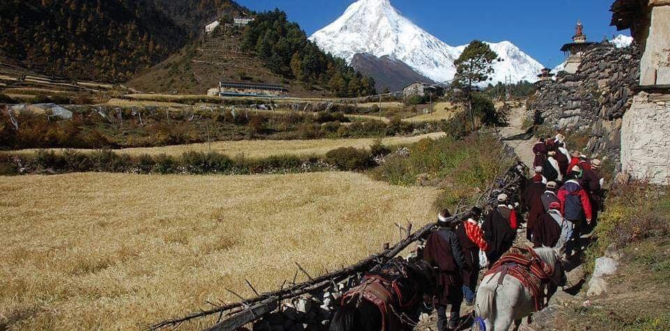 14 Best Short Treks In Nepal (3-6 Days Itinerary) 1 Beauty of Nubri