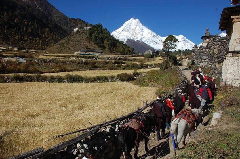 Nubri Village: A Journey Beyond the Himalayas 4 Beauty of Nubri