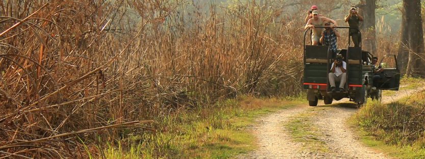 Koshi Tappu Wildlife Reserve: A Haven for Nature Enthusiasts 4 Activities and Attractions