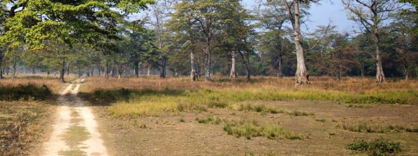 Krishnasaar Conservation Area: A Haven for Nature Lovers 4 Getting There