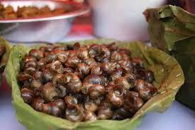 The Culture of Nepal: A Brief Introduction 7 Delightful Delicacy: Gonghi, a Taste of Local Tradition.