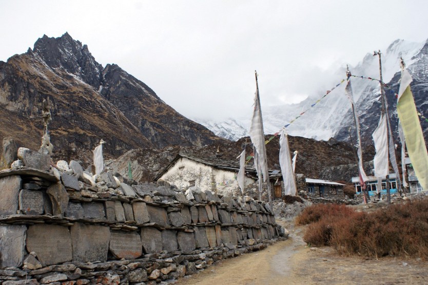 Langtang National Park: Nepal's first Himalayan National Park 4 Kynjen valley Langtang Rasuwa