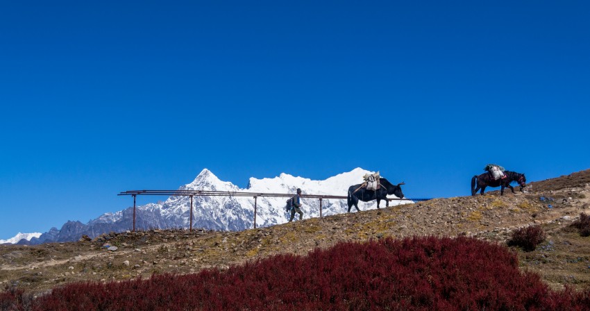Langtang National Park: Nepal's first Himalayan National Park 1 Langtang National Park