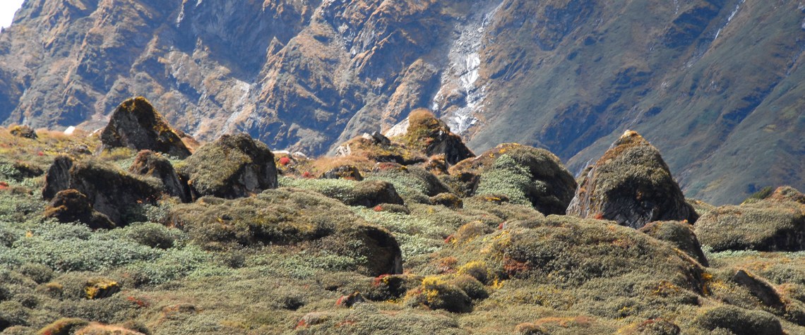 Makalu Barun National Park: A Hidden Gem in the Himalayas 1 Landscape in the Makalu Barun National Park