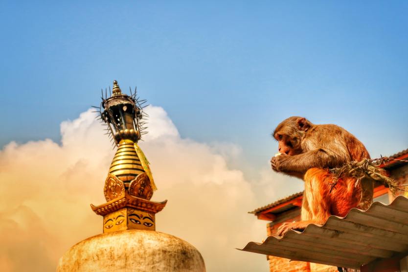 Get Inspired at Swayambhunath (Monkey Temple) 2 monkey temple Swayambhunath