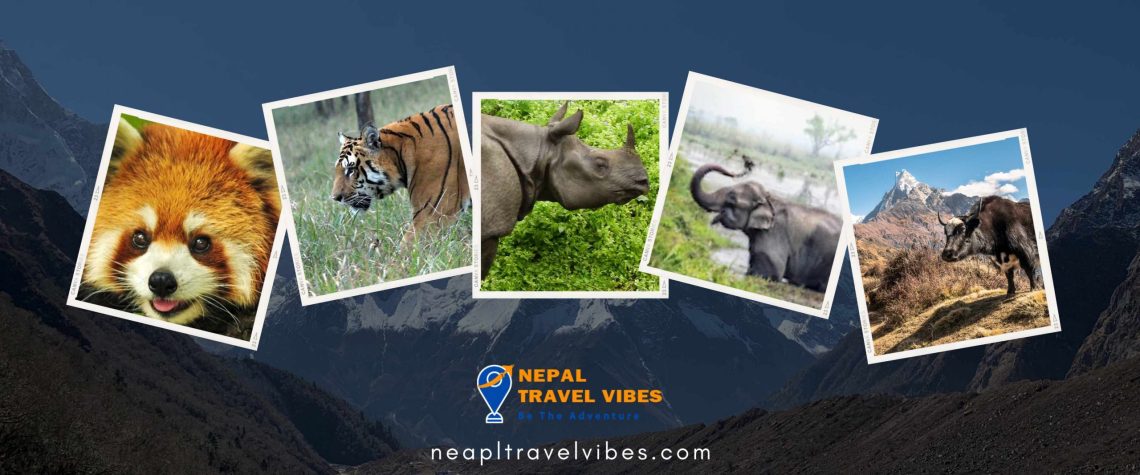 National Parks in Nepal: A Guide to Natural and Cultural Wonders 1 National Parks in Nepal