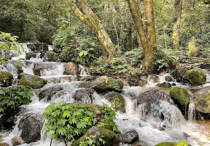 Shivapuri Nagarjun National Park: A Park in the Heart of Nepal 1 Shivapuri Nagarjun National Park