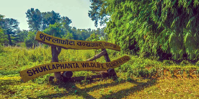 National Parks in Nepal: A Guide to Natural and Cultural Wonders 9 Shuklaphanta National Park