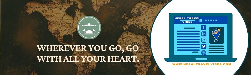 About NTVs 1 NTVs cover