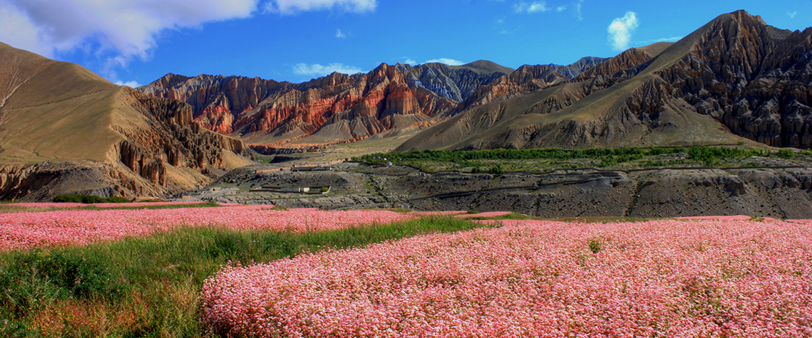 The Best Time to Visit Upper Mustang 1 Best Time to Visit Upper Mustang
