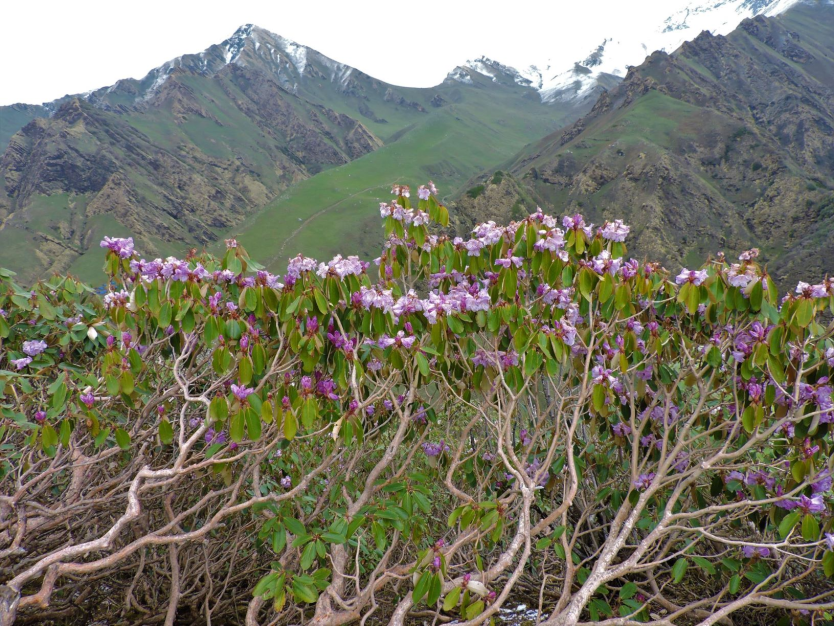 Discover the Thrills of Api Nampa Conservation Area 2 Seto Gurans (Chimal)