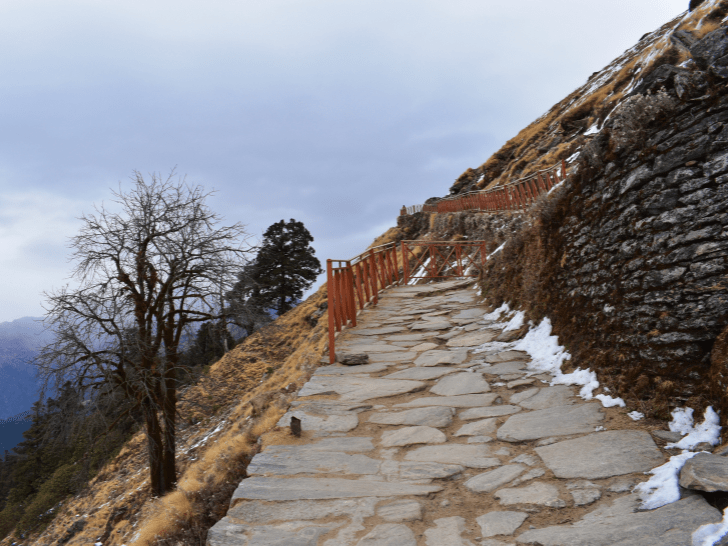 5 Reasons Why the Chopta Chandrashila Trek Should Be on Your Bucket List 2 image 3