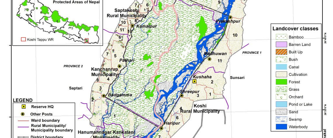 Koshi Tappu Wildlife Reserve: A Haven for Nature Enthusiasts 1 Koshi Tappu Wildlife Reserve
